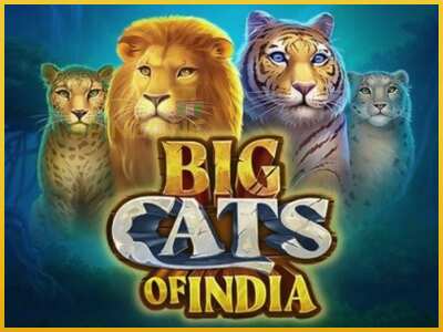 Big Cats of India màquina de joc per diners