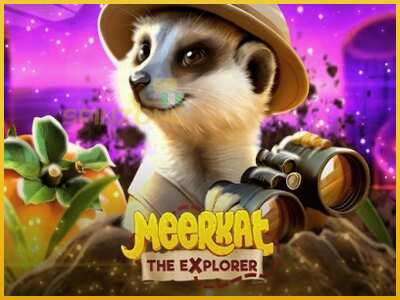 Meerkat màquina de joc per diners