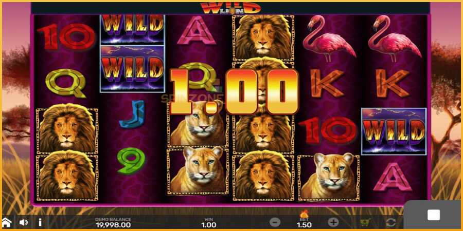 Wild Lion with Reel Bingo màquina de joc per diners, imatge 2