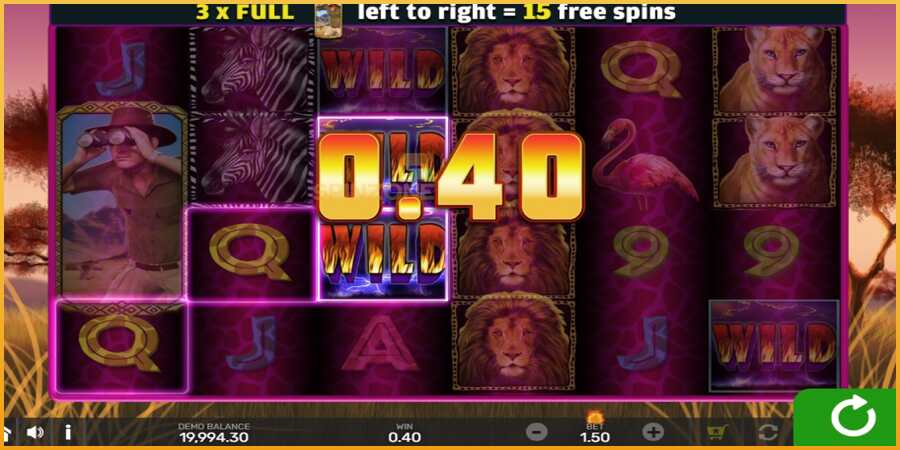 Wild Lion with Reel Bingo màquina de joc per diners, imatge 3