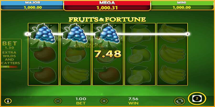 Fruits & Fortune màquina de joc per diners, imatge 5