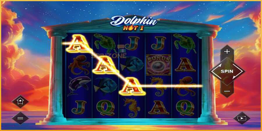 Dolphin Hot 1 màquina de joc per diners, imatge 3