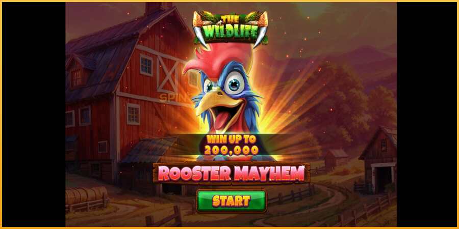 Rooster Mayhem màquina de joc per diners, imatge 1