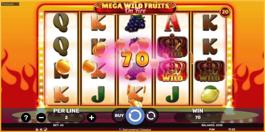 Mega Wild Fruits - On Fire màquina de joc per diners, imatge 4