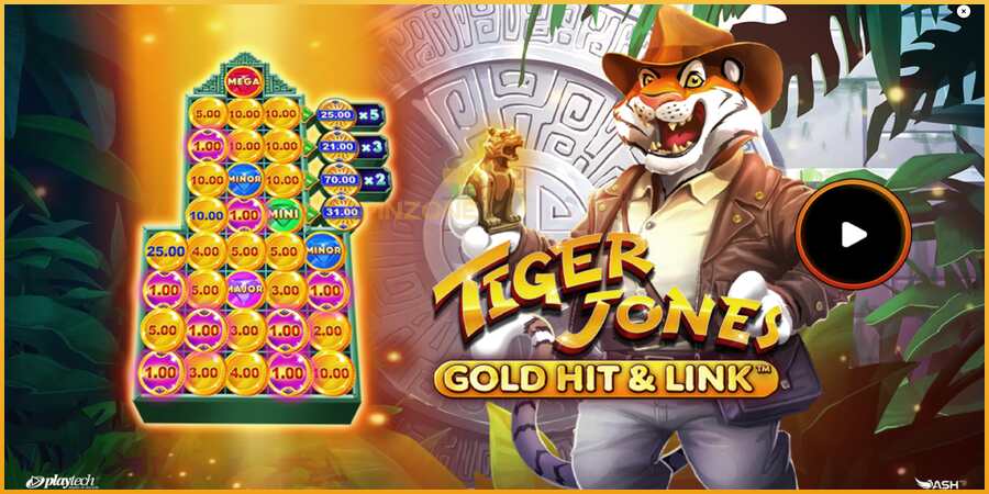 Gold Hit & Link: Tiger Jones màquina de joc per diners, imatge 1