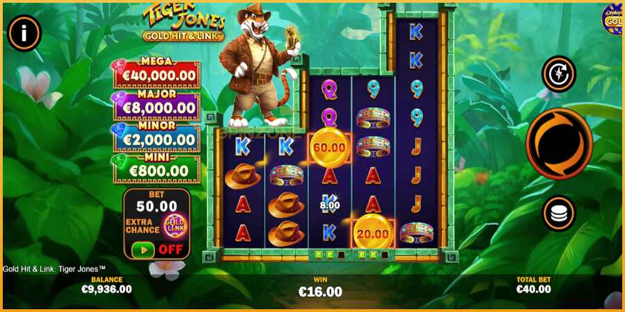 Gold Hit & Link: Tiger Jones màquina de joc per diners, imatge 3