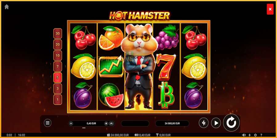 Hot Hamster màquina de joc per diners, imatge 1