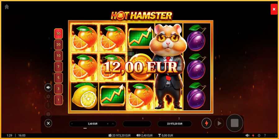 Hot Hamster màquina de joc per diners, imatge 5