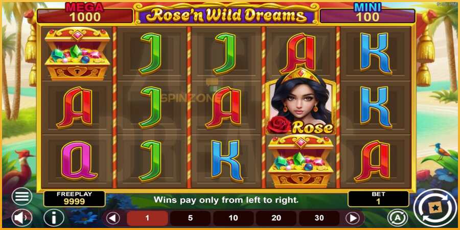 Rose’n Wild Dreams Hold & Win màquina de joc per diners, imatge 2