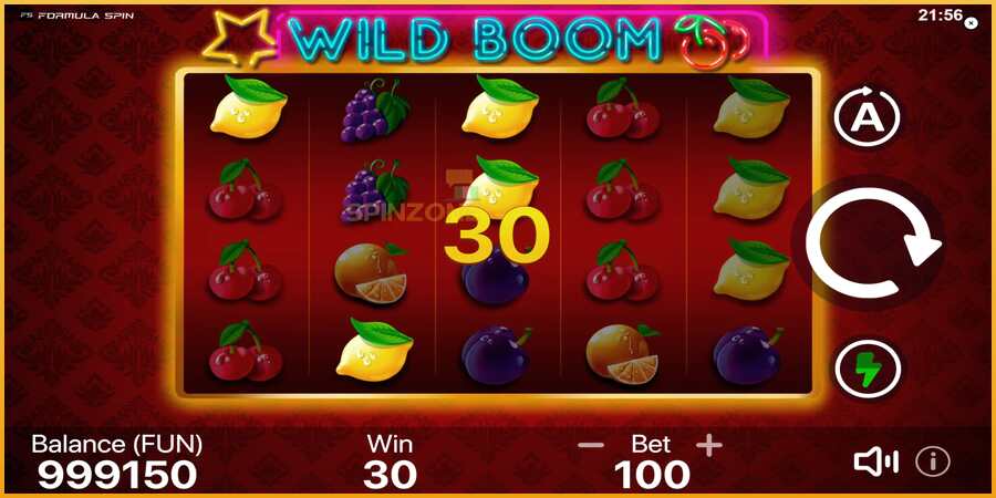 Wild Boom màquina de joc per diners, imatge 4