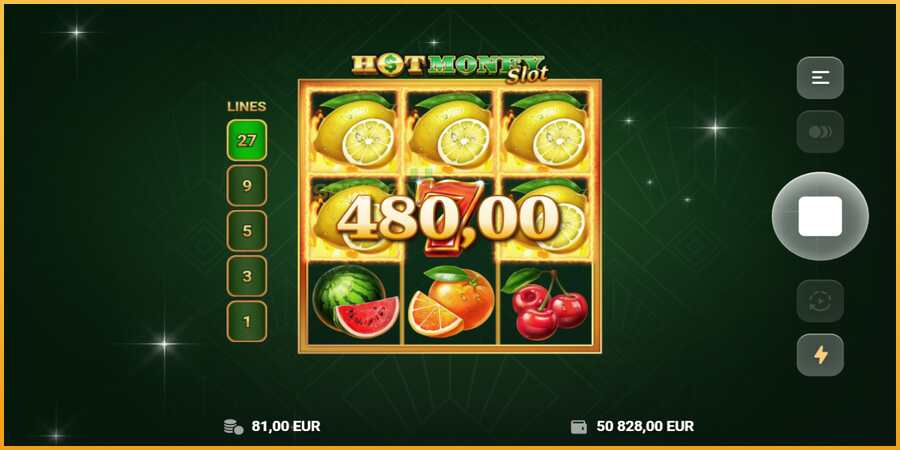 Hot Money Slot màquina de joc per diners, imatge 5