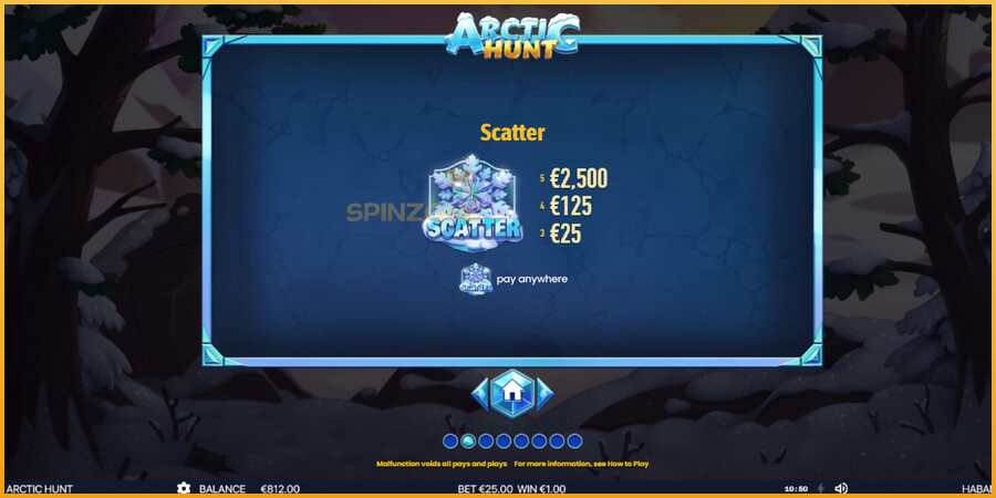 Arctic Hunt màquina de joc per diners, imatge 5