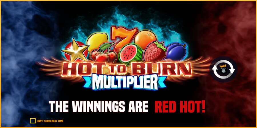 Hot to Burn Multiplier màquina de joc per diners, imatge 1