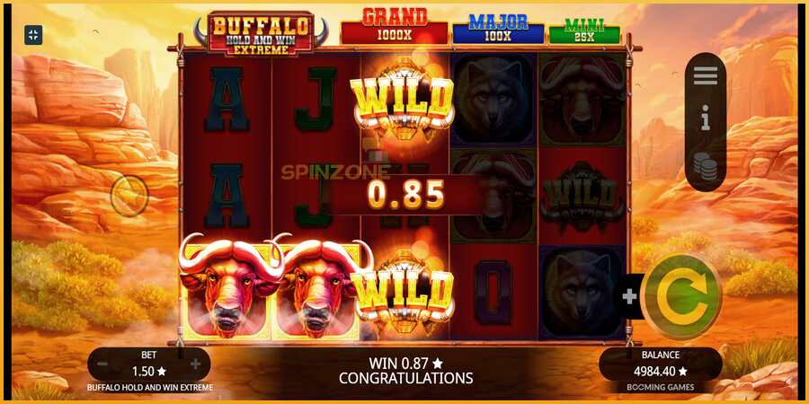 Buffalo Hold and Win Extreme màquina de joc per diners, imatge 6