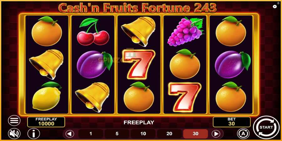 Cashn Fruits Fortune 243 màquina de joc per diners, imatge 2