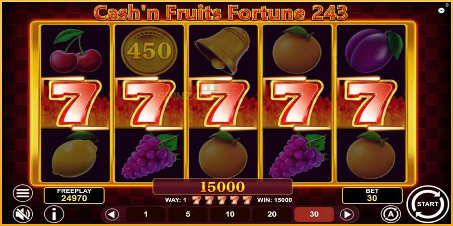 Cashn Fruits Fortune 243 màquina de joc per diners, imatge 4