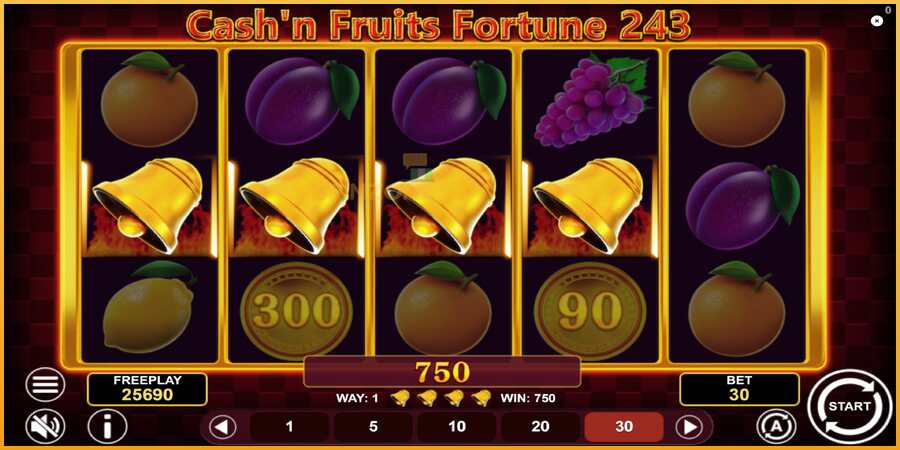 Cashn Fruits Fortune 243 màquina de joc per diners, imatge 5